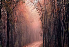 奥运会——中国三人女篮附加赛不敌美国无缘半决赛