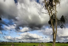 NBA夏季联赛-程帅鹏拿下16分中国男篮50-101击败国王队