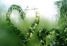 媒体人：青岛队援引王俊杰、范慧柳加钱作为筹码